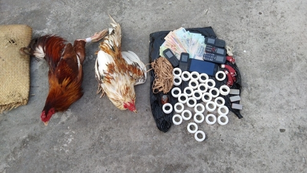 Đột kích sới đá gà ăn tiền ở Bạc Liêu: Ông trùm Phúc 