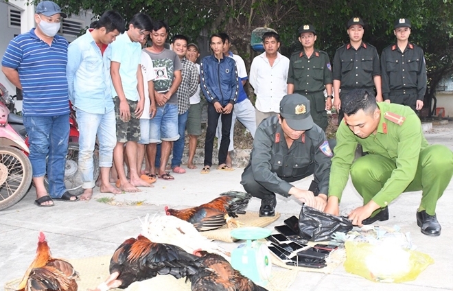 Bộ Công an phá trường gà giữa cánh đồng: Ông 