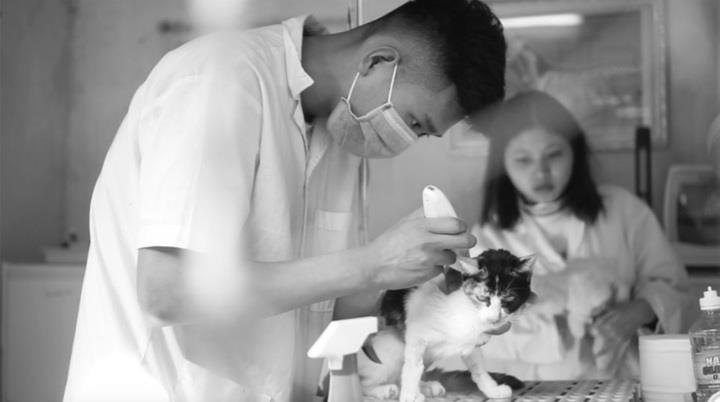 “Xây tổ ấm” cho chó mèo bị bỏ rơi