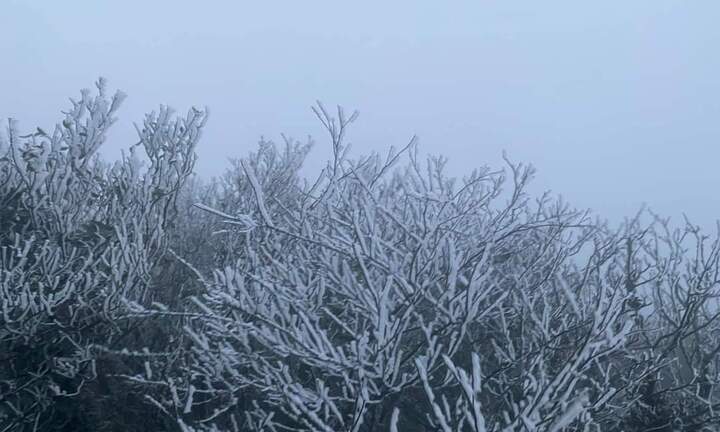 Không khí lạnh tăng cường, Bắc Bộ rét đậm rét hại, nhiều nơi dưới 0 độ C