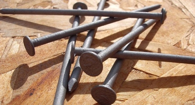 Ăn vật sắc nhọn vào dạ dày, tại sao cơ thể chịu đựng được?