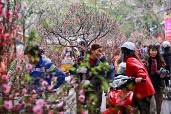 Dự báo thời tiết dịp Tết Nguyên đán Tân Sửu 2021: Miền Bắc nắng ấm