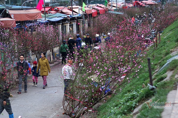 Dự báo thời tiết mới nhất hôm nay 11/2: Miền Bắc nắng ấm