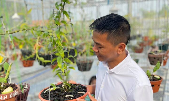 Vinh Phạm: Chàng trai gốc Bình Định và thú vui với hoa phong lan