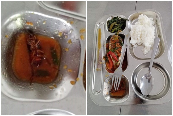 Vụ học sinh phát hiện gián chết trong suất cơm ở căng tin trường học: Sở GD&ĐT TP.HCM nói gì?