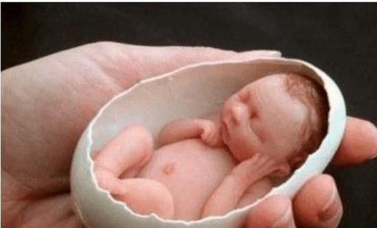 Bé sơ sinh nhỏ nhất thế giới: Sinh ra chỉ dài 2,5cm, có thể nằm gọn trong vỏ trứng gà