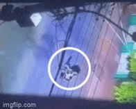 Vụ nổ súng tại quán karaoke XO, Hải 