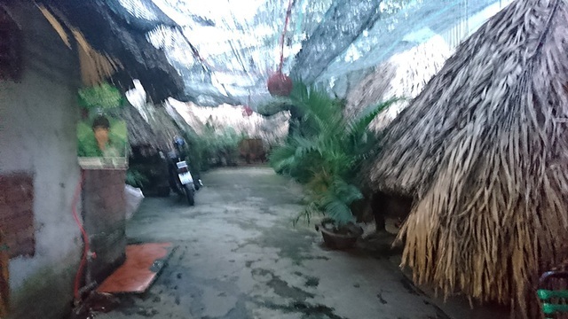 Vụ nữ chủ quán cà phê nghi bị sát hại, đốt xác: Trích xuất camera truy tìm hung thủ