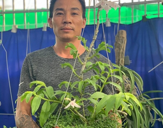 Nghệ nhân Nguyễn Đăng Thoả chia sẻ kinh nghiệm chơi hoa lan