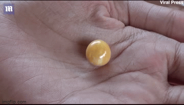 Cô gái nghèo bỗng chốc đổi đời thành triệu phú, chỉ nhờ một phát hiện tình cờ