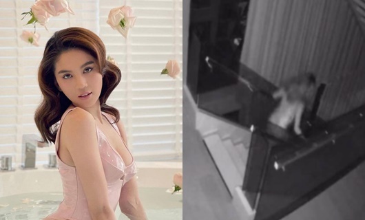 Tin tức pháp luật ngày 31/3: Trích xuất camera làm rõ vụ biệt thự Ngọc Trinh bị trộm đột nhập
