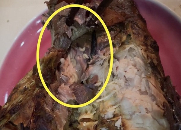 Vụ cá kho cửa hàng CleverFood có giòi: Cơ quan chức năng vào cuộc
