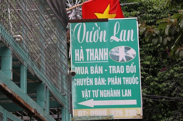 Công an Hà Nội lên tiếng về vụ chủ vườn lan “ôm” 11 tỷ đồng bỏ trốn