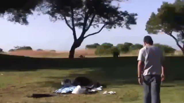 Video: Đại bàng tung 