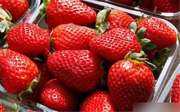 Tin tức đời sống ngày 9/5: Cháu ăn vụng dâu tây trong siêu thị, bà nói 1 câu làm ai nấy ngán ngẩm