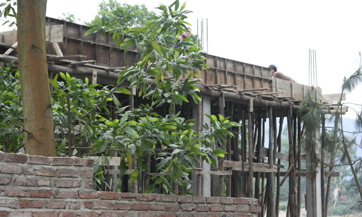 Hàng loạt “người nổi tiếng” “dính”...  sai phạm như thế nào?