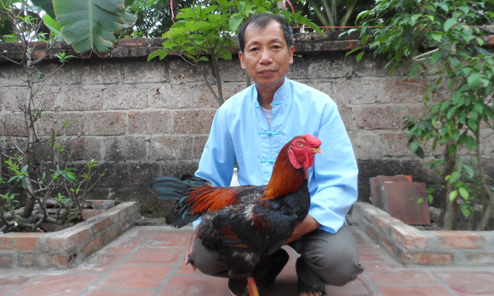  Lạc thổ vang tiếng gà hồ