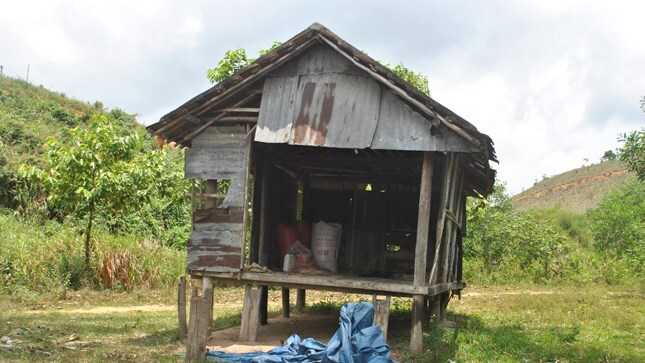 Bị bắt quả tang vụng trộm, chị dâu-em chồng uống thuốc sâu tự tử