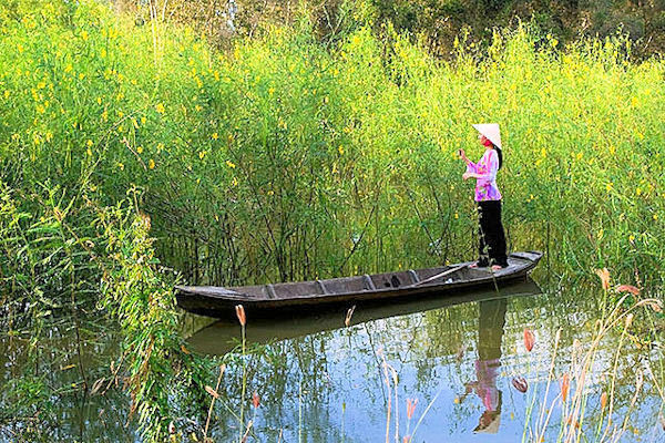 Sao em nỡ ra đi anh nào có tội tình gì?