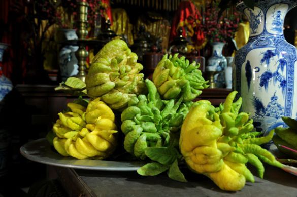 Cách chọn quả phật thủ phát tài, phát lộc