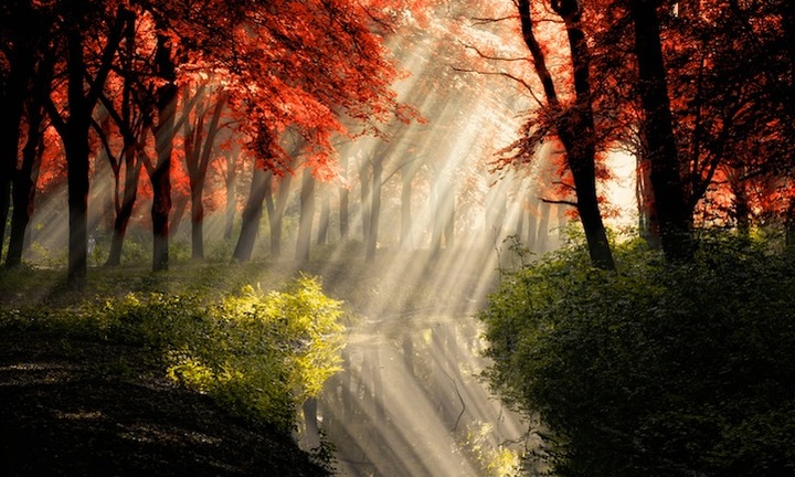 Vẻ đẹp huyền diệu của những tia nắng