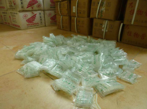 Kinh hoàng thuốc kích thích rau mầm tăng trưởng chỉ sau 4 tiếng