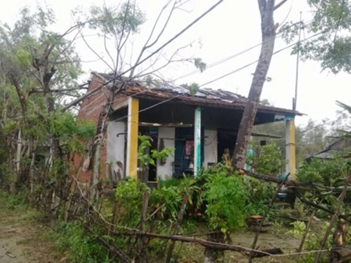 Thảm án “phi công trẻ” sát hại người tình như thời trung cổ