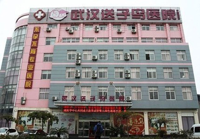 “Cò” nội tạng đa quốc gia và sự trả giá của bệnh nhân cả tin