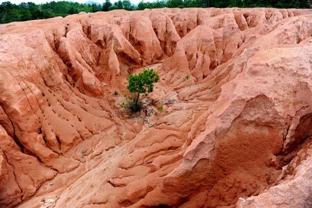 Đất hiếm có thay đổi 