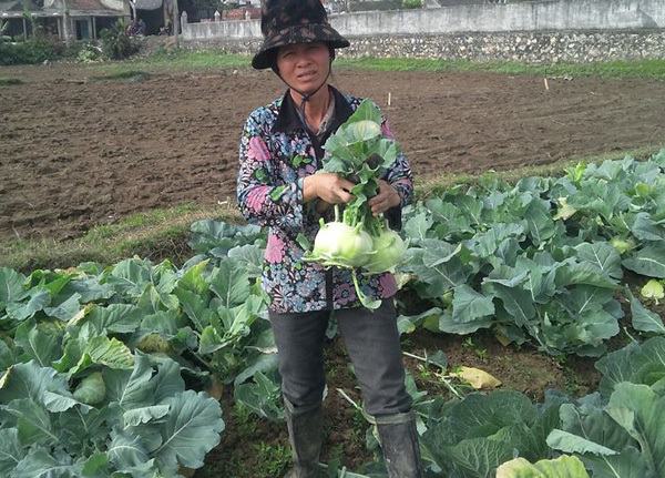 Thanh Hóa: Thồ cả xe rau không mua được cây giò ăn Tết