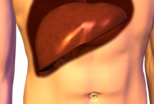 Những thực phẩm tối kỵ với người gan nhiễm mỡ