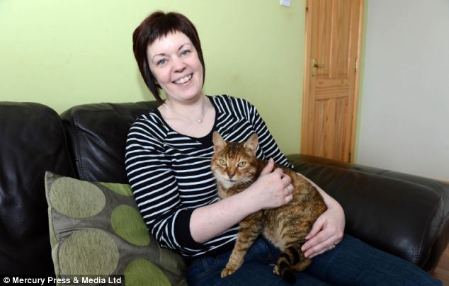 Hội ngộ chú mèo sau 11 năm mất tích