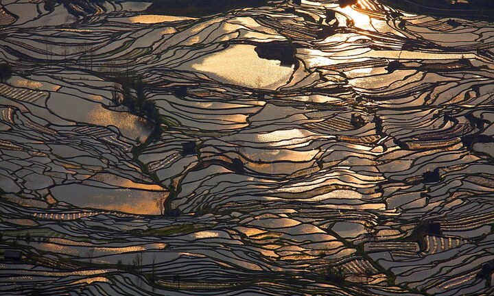 Ngắm ruộng bậc thang “đẹp như tranh” ở Trung Quốc