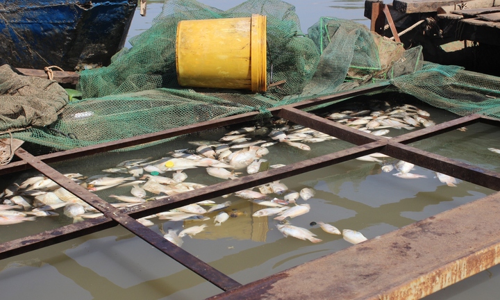 Đồng Nai: Người dân 