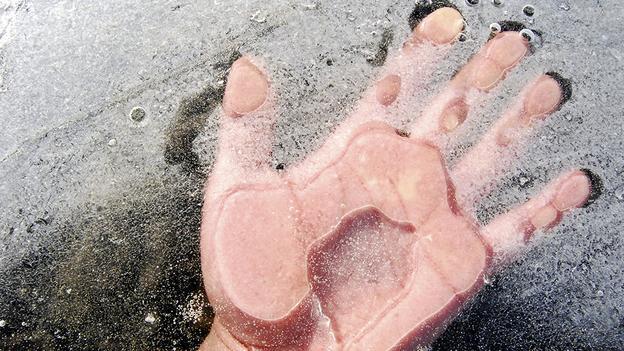 Con người có thể tái sinh nhờ đóng băng cơ thể?