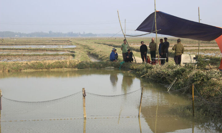 Hà Tĩnh: Hai cháu bé 3 tuổi chết đuối thương tâm