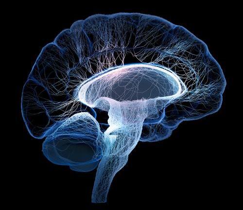 10 bệnh lạ khiến bác sĩ “đau đầu” năm 2014 