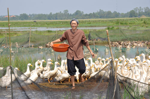 Sao Việt từ bỏ Showbiz đi chăn vịt, chăm chỉ cuốc đất trồng rau