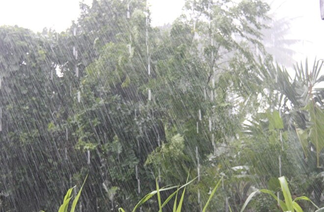  Gió lốc hất nữ sinh xuống vực tử vong