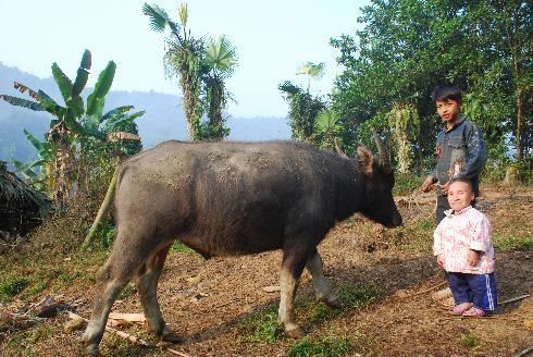 Chuyện lạ về sơn nữ nặng 20 kg ở Việt Nam