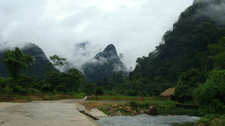 Những kiểu 