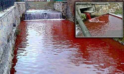 Kỳ lạ nước sông hóa đỏ như máu người sau một đêm