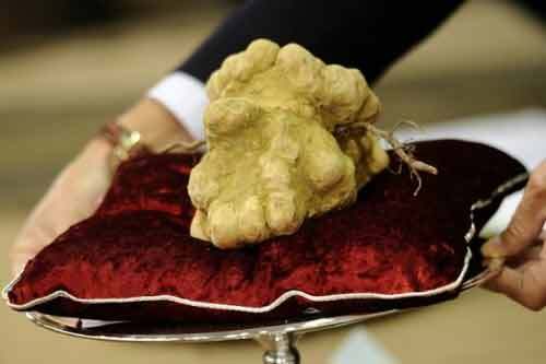 Điểm lại 10 đồ ăn đắt nhất thế giới