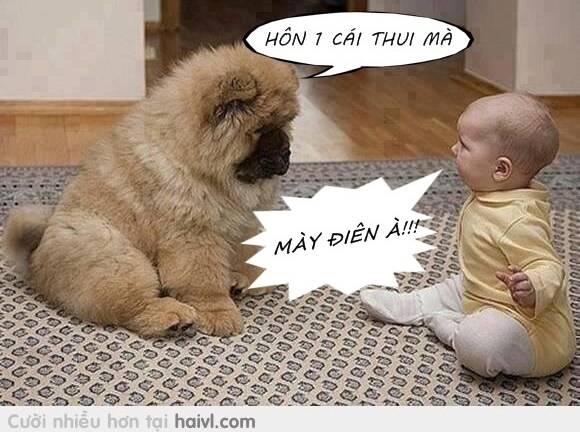 Những bức hình hài hước khiến bạn cười