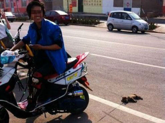 Phẫn nộ trước trò tiêu khiển động vật của nam thanh niên