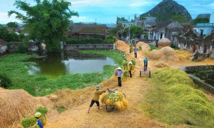 Thổn thức với bức hình “Quê hương thật thanh bình”