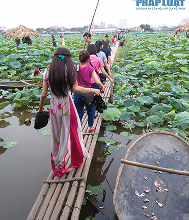 Tư thế chụp ảnh “khó đỡ” ở đầm sen Tây Hồ