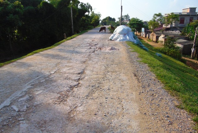 Thanh Hóa: Mật phục bắt 5 xe chở quá tải hơn 500\%