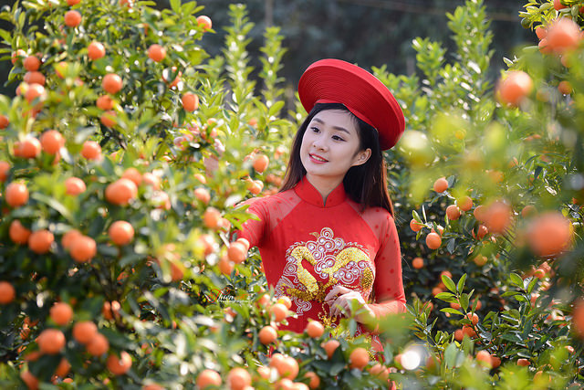 Mê mẩn với nhan sắc xinh đẹp của nữ sinh Kinh tế bên vườn quất