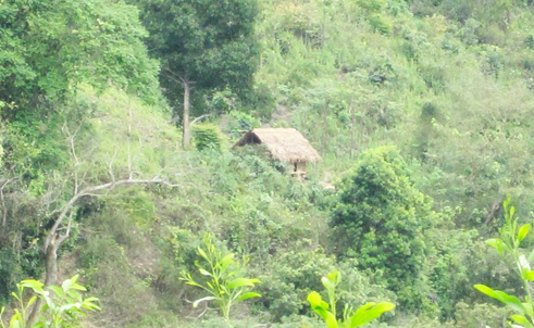 Trinh sát tiết lộ chuyện phá án ở 